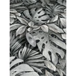 Botanica 33305