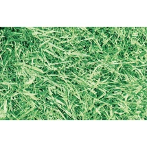 Gekkofix 11565 Fű  - mintás öntapadós fólia öntapadós fólia