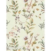 Anna dAndrea 78212-1