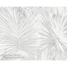 Attractive 2 36385-1  tapéta