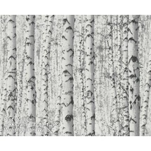 Pint Walls 38719-1  tapéta