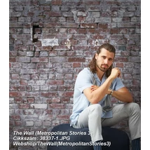 The Wall (Metropolitan Stories 3) 38337-1  poszter