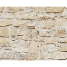 The Wall Cover 38580-1