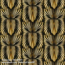 Roberto Cavalli 8 RC19001