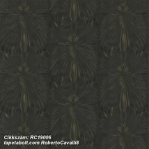 Roberto Cavalli 8 RC19006