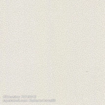 Roberto Cavalli 8 RC19016