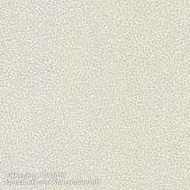 Roberto Cavalli 8 RC19018