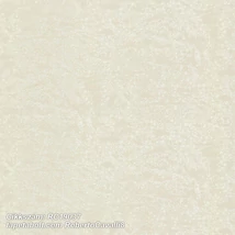 Roberto Cavalli 8 RC19037