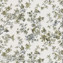 Roberto Cavalli 8 RC19041  tapéta