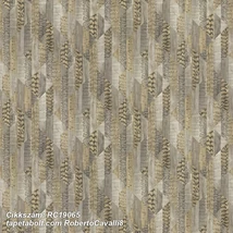 Roberto Cavalli 8 RC19065  tapéta
