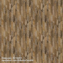 Roberto Cavalli 8 RC19072  tapéta