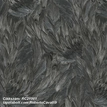 Roberto Cavalli 9 RC21001