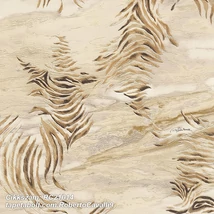 Roberto Cavalli 9 RC21014