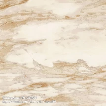 Roberto Cavalli 9 RC21024  tapéta