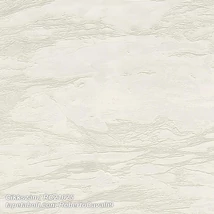 Roberto Cavalli 9 RC21025