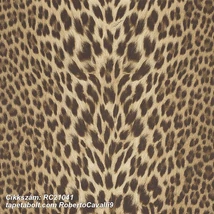 Roberto Cavalli 9 RC21041