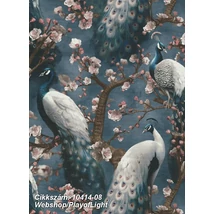 Play of Light 10414-08