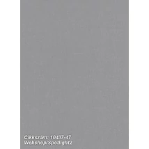 Spotlight 2 10437-47