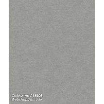Attitude A65606