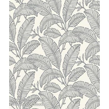 Attitude A66402  tapéta