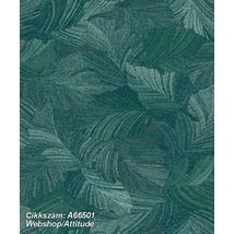 Attitude A66501
