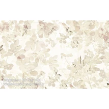 Komar Infinity 6019A-VD4