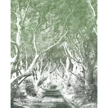 Komar Infinity 6024B-VD2