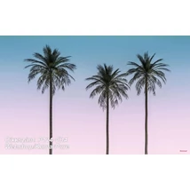 Komar Pure P124-VD4  poszter