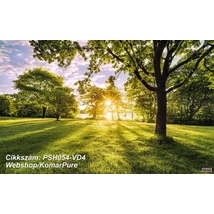 Komar Pure PSH054-VD4 Golden Moment poszter