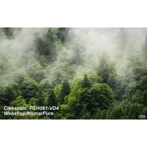 Komar Pure PSH061-VD4 Forest Land poszter