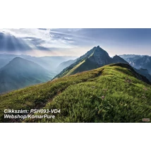 Komar Pure PSH093-VD4 Green Vein poszter