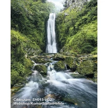 Komar Stefan Hefele SH015-VD2