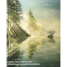 Komar Stefan Hefele SH018-VD2