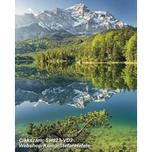 Komar Stefan Hefele SH023-VD2