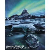 Komar Stefan Hefele SH026-VD2  poszter