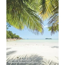 Komar Stefan Hefele SH028-VD2  poszter