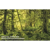 Komar Stefan Hefele SH040-VD4  poszter