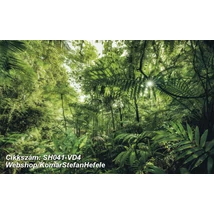 Komar Stefan Hefele SH041-VD4