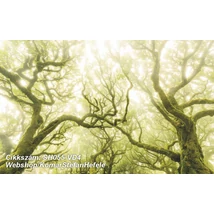 Komar Stefan Hefele SH055-VD4  poszter