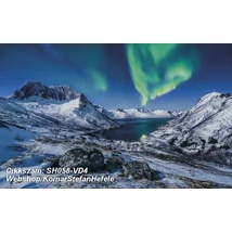 Komar Stefan Hefele SH058-VD4  poszter