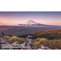 Komar Stefan Hefele SH059-VD4  poszter