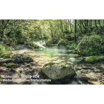 Komar Stefan Hefele SH079-VD4  poszter