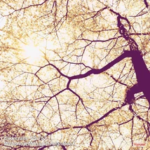 Munich Design Book V5-752 Sunshine poszter