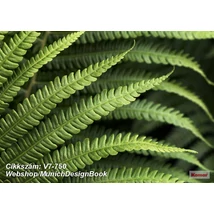 Munich Design Book V7-750