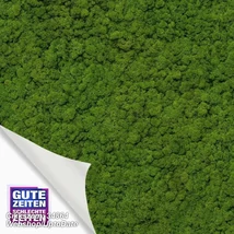 Up to Date 34864  tapéta