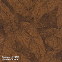 Amara 720563