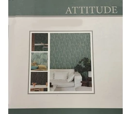 Attitude