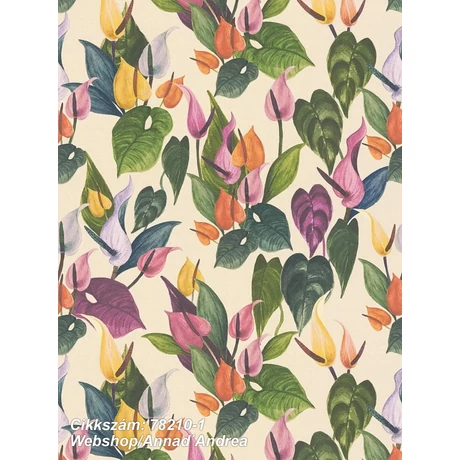 Anna dAndrea 78210-1