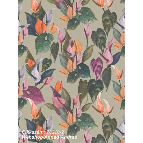 Anna dAndrea 78210-2