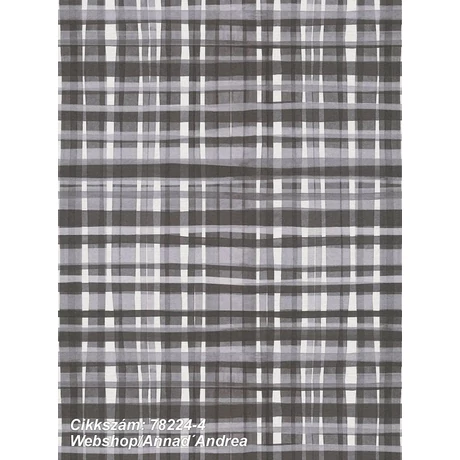 Anna dAndrea 78224-4